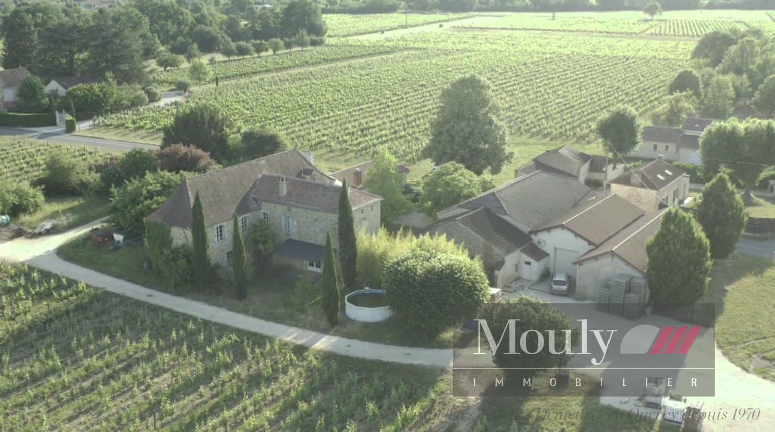 Operational Vineyard With 5 Bedrooms And 220m² Living Space 2