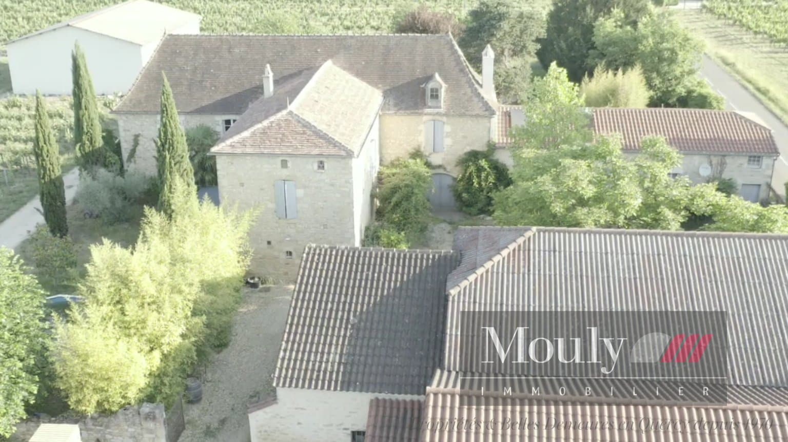Operational Vineyard With 5 Bedrooms And 220m² Living Space 3