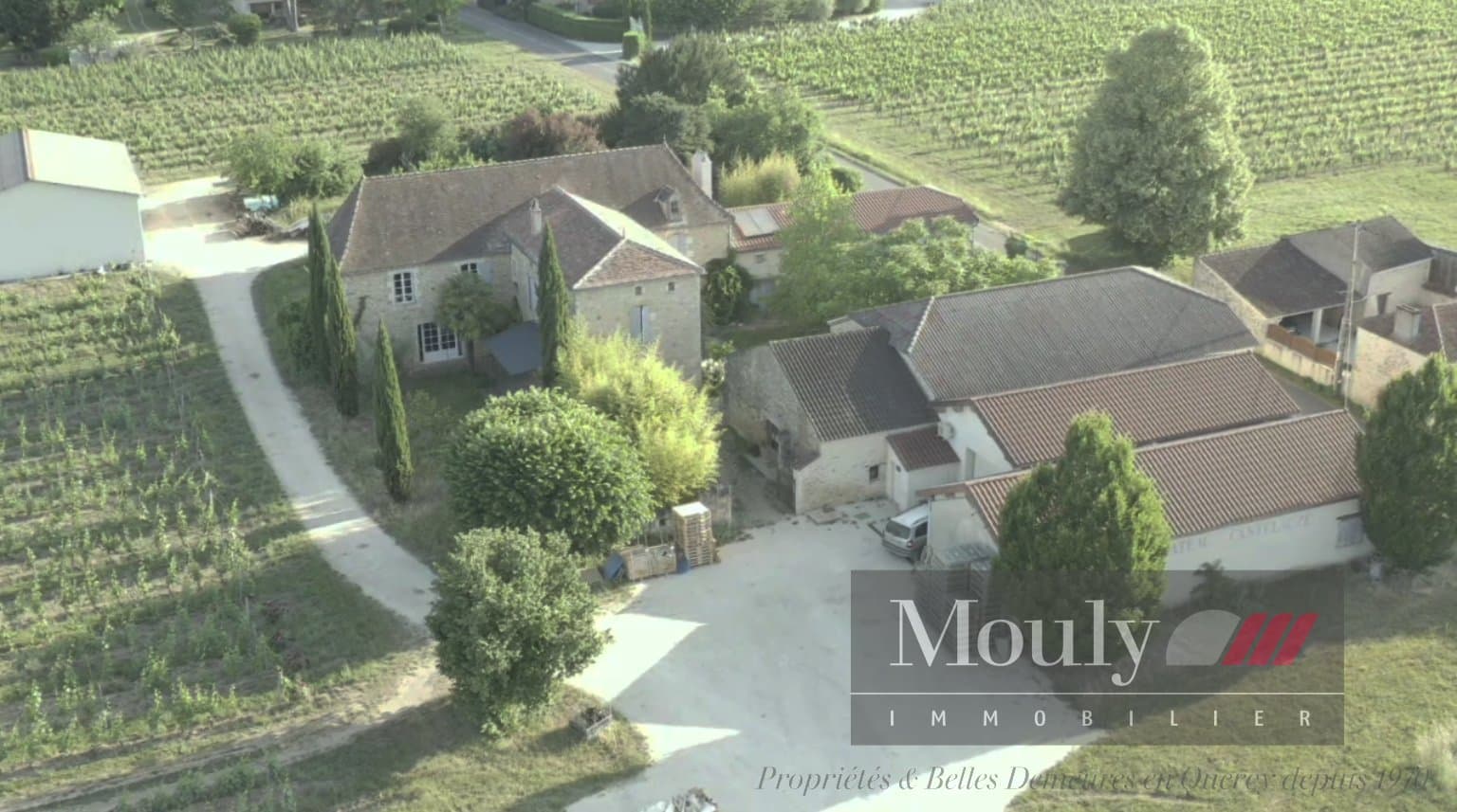 Operational Vineyard With 5 Bedrooms And 220m² Living Space 4