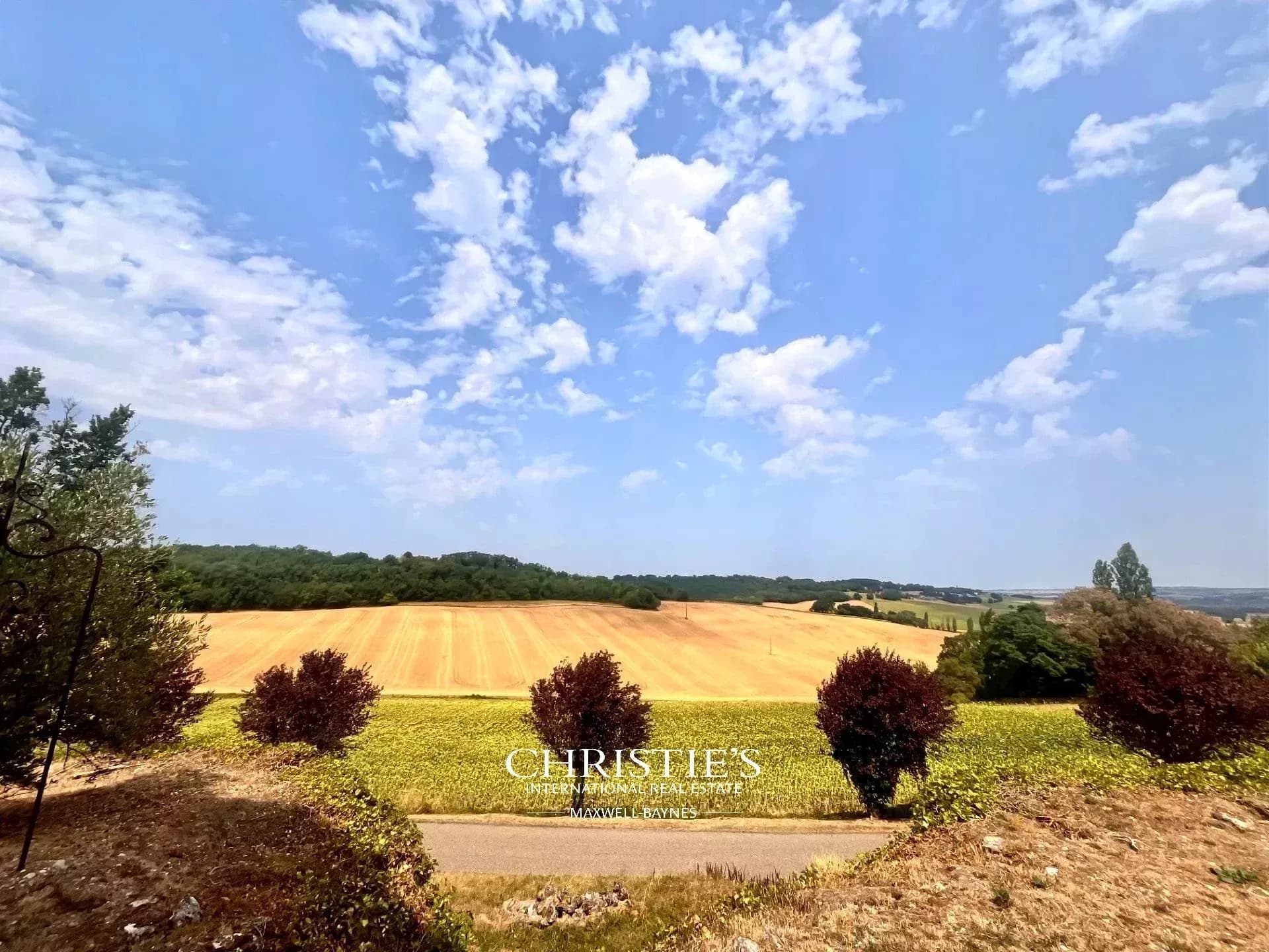 Château de Larroque-Engalin 320 Sqm 4 Bedrooms 4