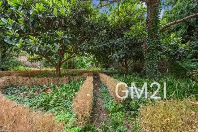 Charming 18th Century Presbytery With Garden And Studios 3