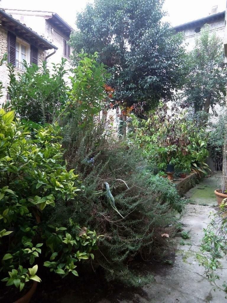 Charming Period Building Ideal For B&B Or Boutique Hotel 4