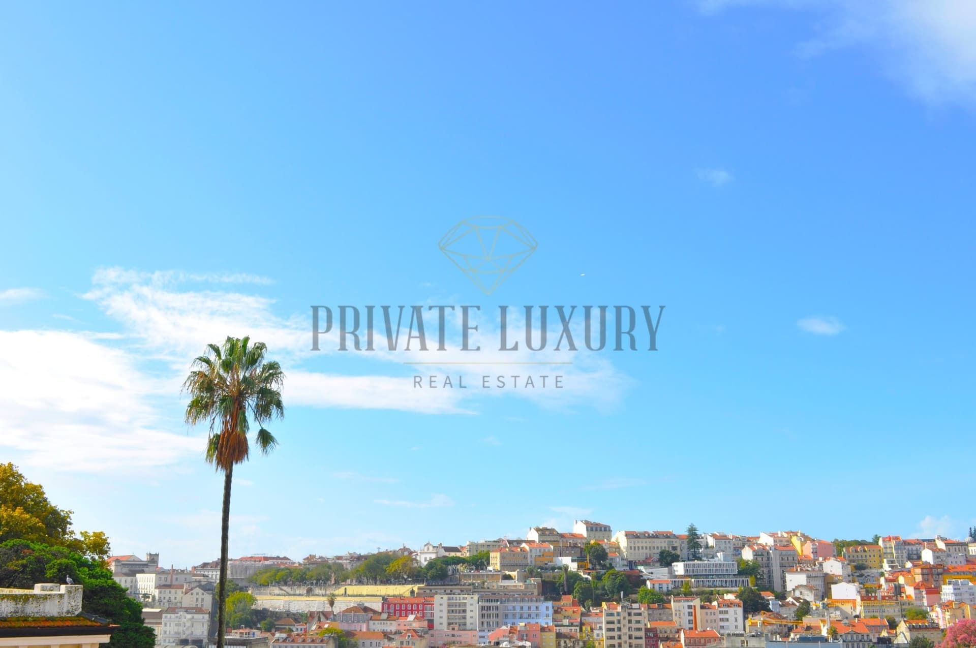 Elegant 19th/20th Century Palace With Garden And Pool 3