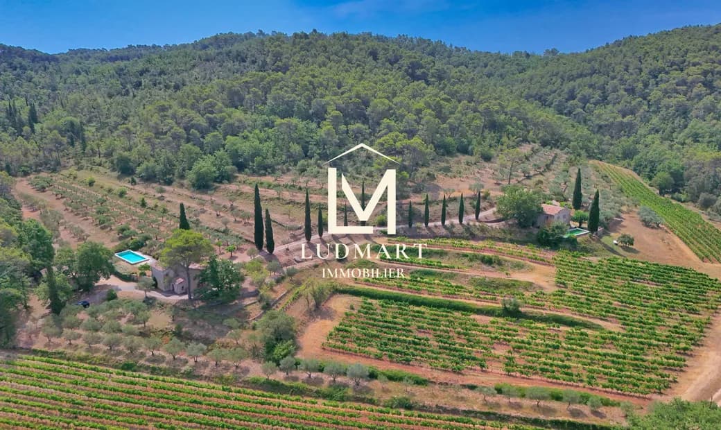 Lorgues Authentic Provençal Estate With Two Houses, Two Pools, Vineyard And Olive Grove
