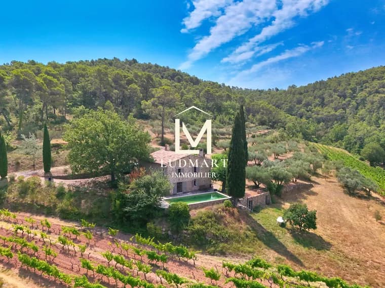 Lorgues Authentic Provençal Estate With Two Houses, Two Pools, Vineyard And Olive Grove 2