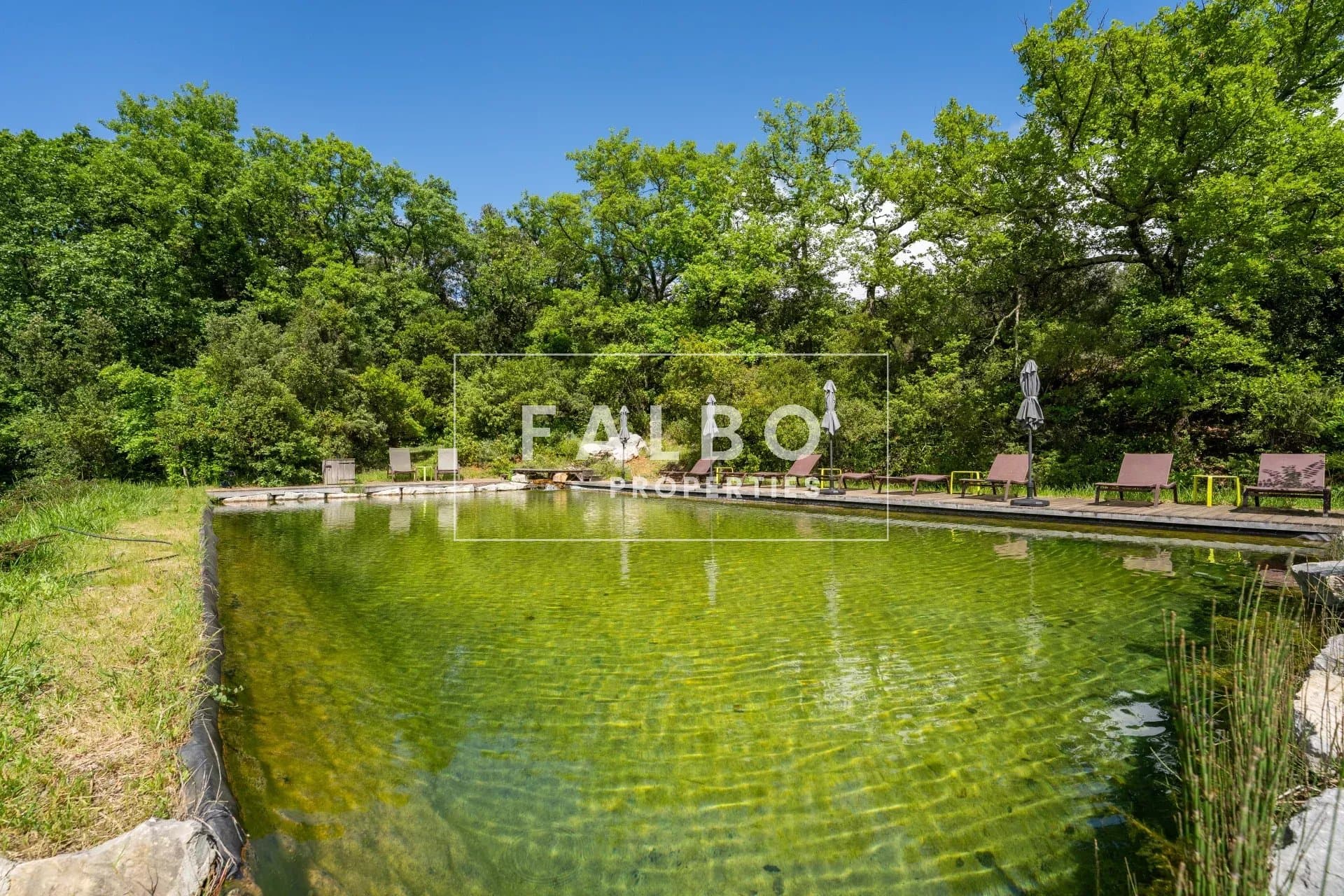 Historic Manor House With Wellness Retreats And Scenic Views 4