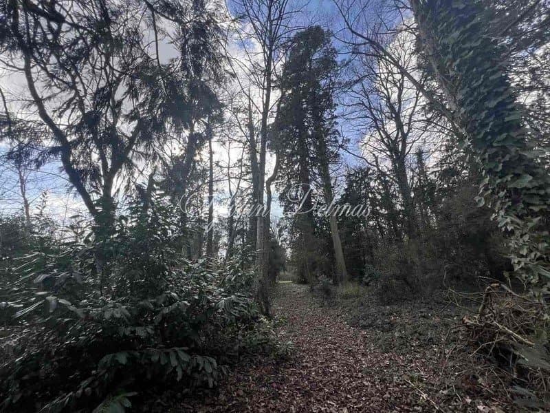 19th Century Château With 350 Sqm Living Space And 9 Bedrooms 3