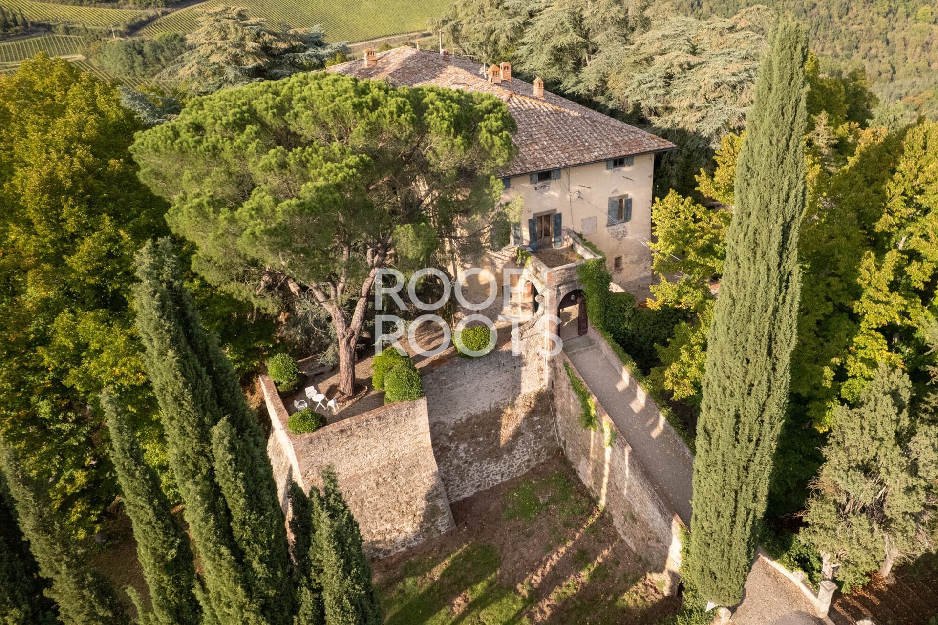 Historic Wine Estate With Manor House, Vineyard, And Restoration Potential 2