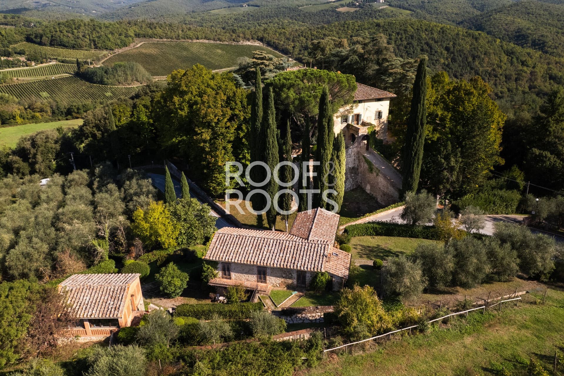 Historic Wine Estate With Manor House, Vineyard, And Restoration Potential 3