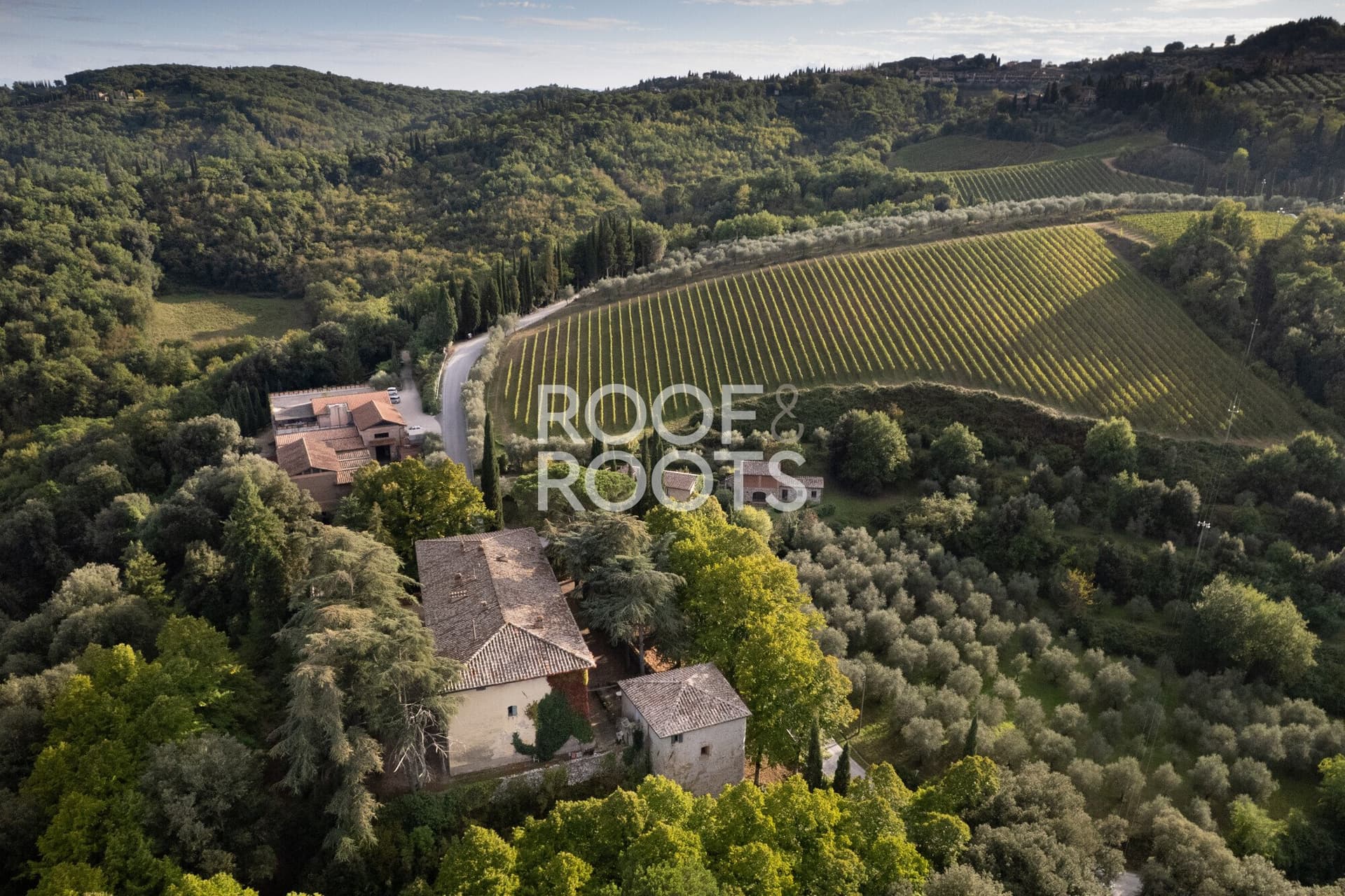 Historic Wine Estate With Manor House, Vineyard, And Restoration Potential 4