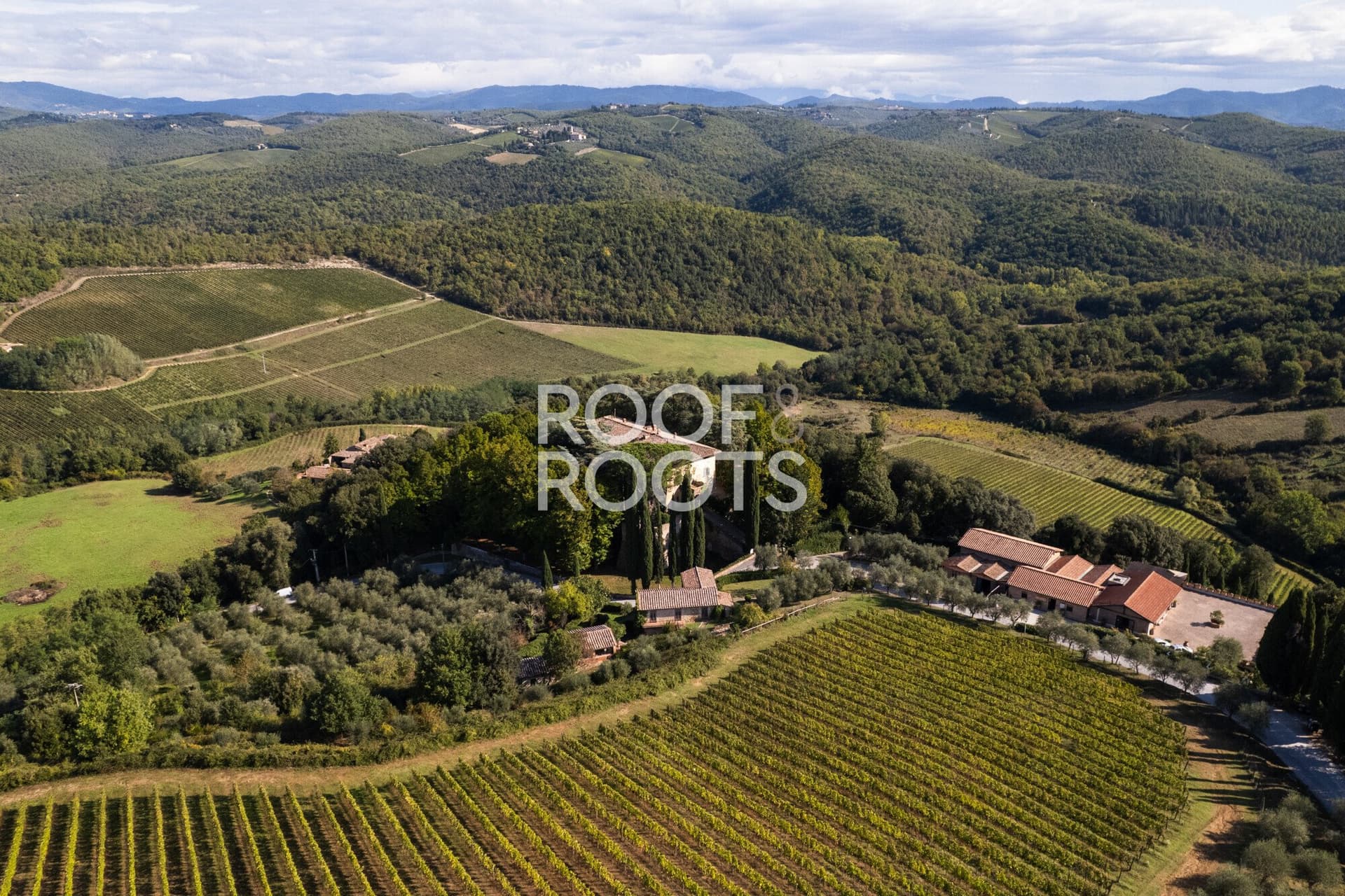 Historic Wine Estate With Manor House, Vineyard, And Restoration Potential 5