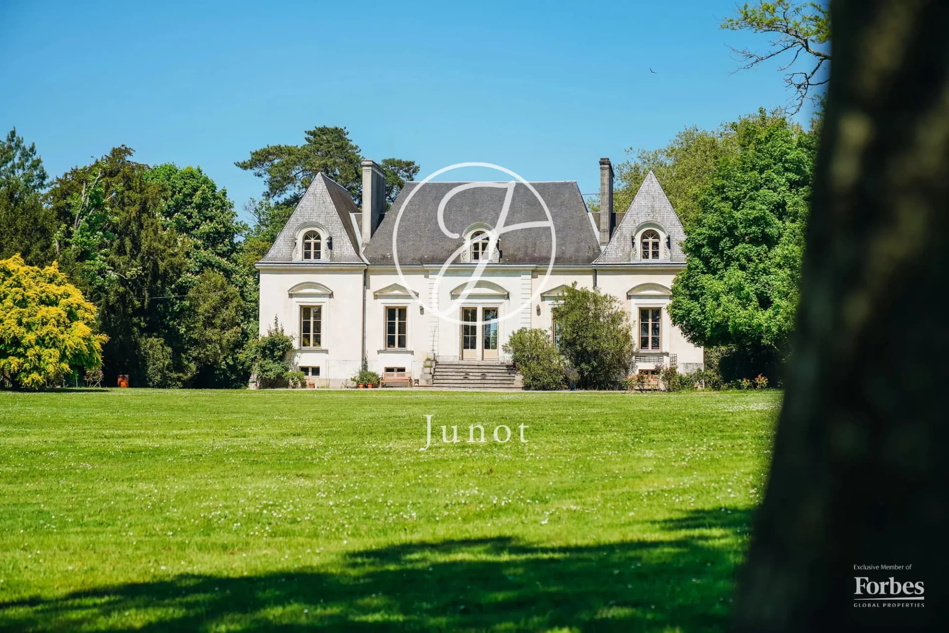 Château de la Chauffetière 403.0 Sqm 10 Bedrooms