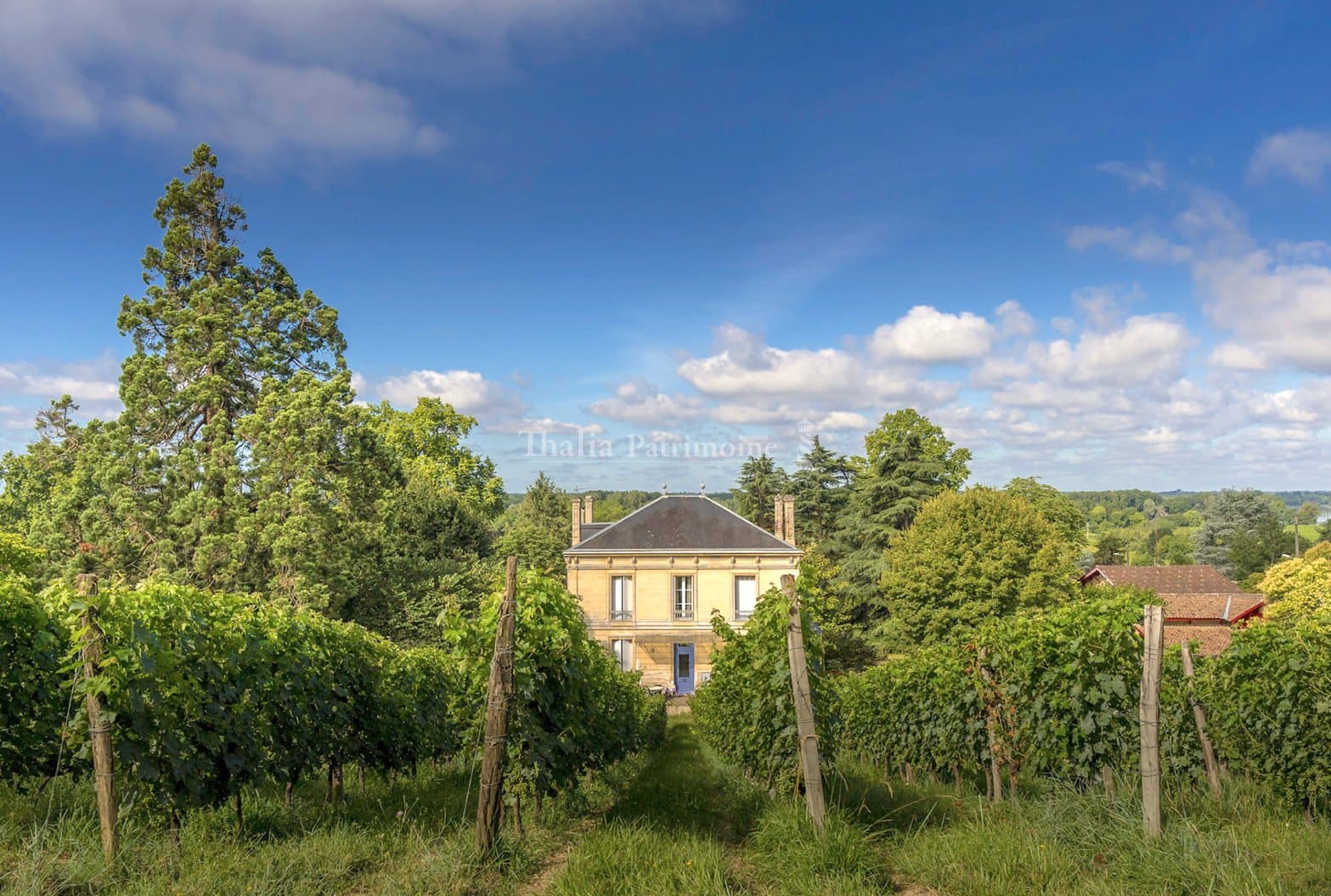Stunning Maison de Maître with Expansive Grounds and Vineyards — in Nouvelle-Aquitaine, France