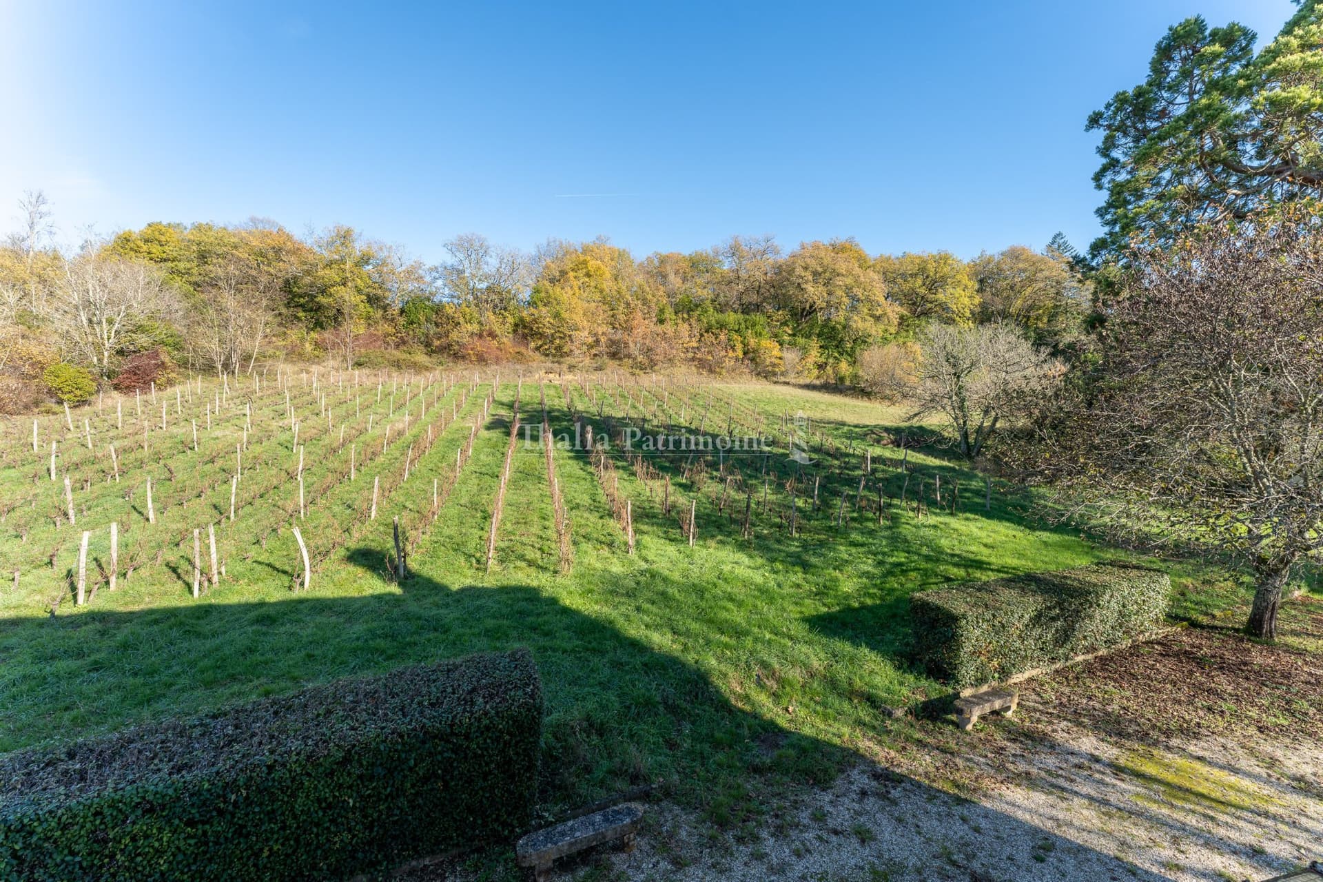 Stunning Maison de Maître with Expansive Grounds and Vineyards 4