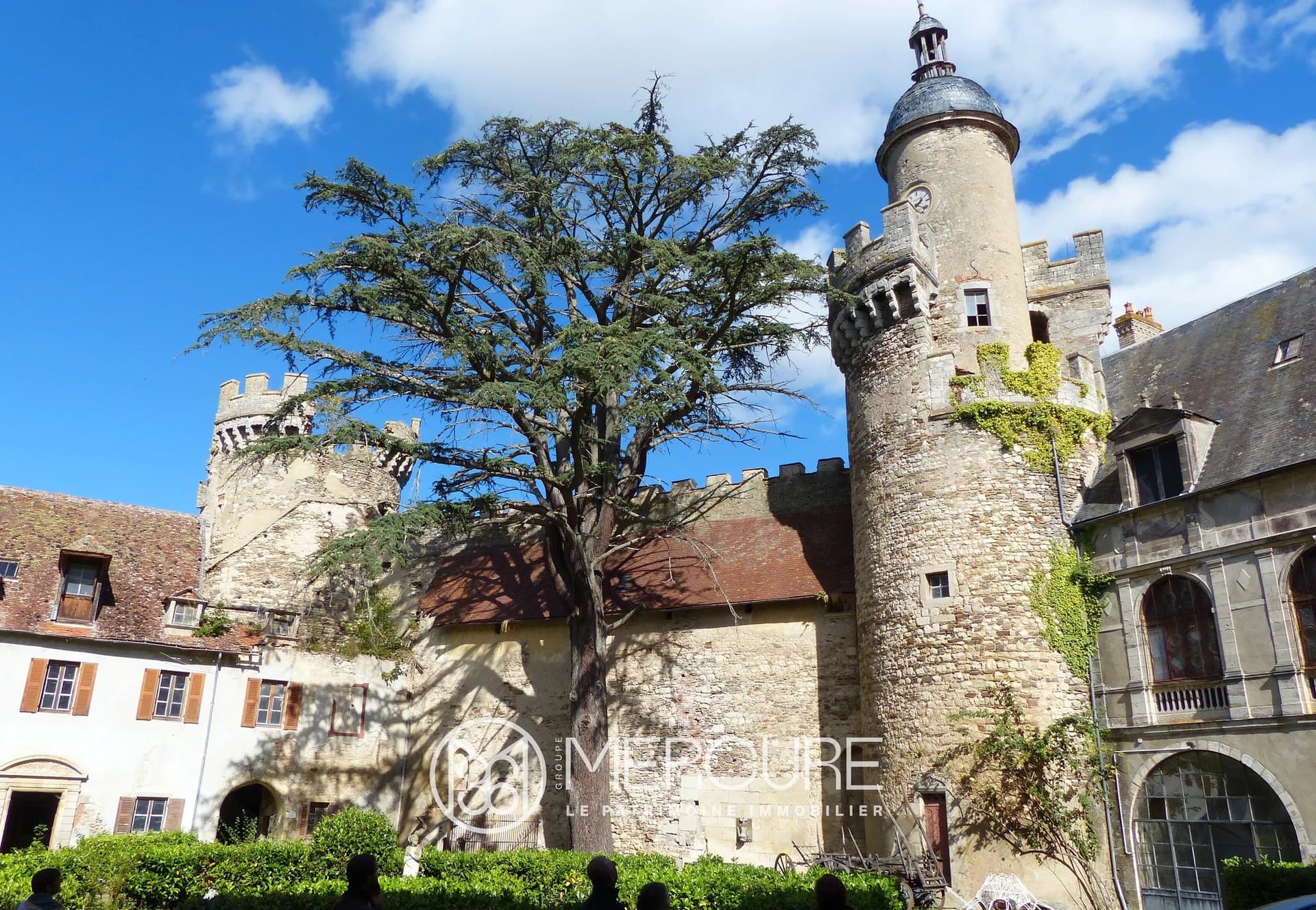 Historic Veauce Castle With Extensive Restoration Potential 4