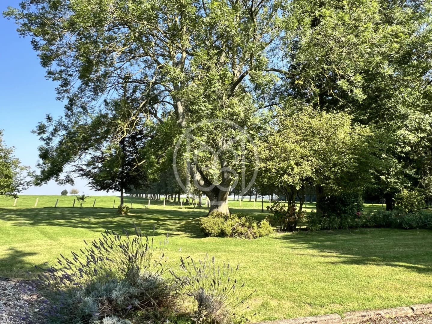 Elegant Château With 5 Bedrooms And Expansive Parklands 4