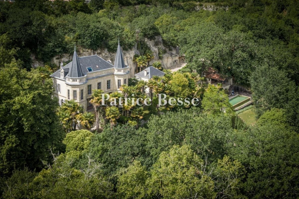 19th Century Château With Swimming Pool And Troglodyte Dwelling In 5 Hectare Grounds