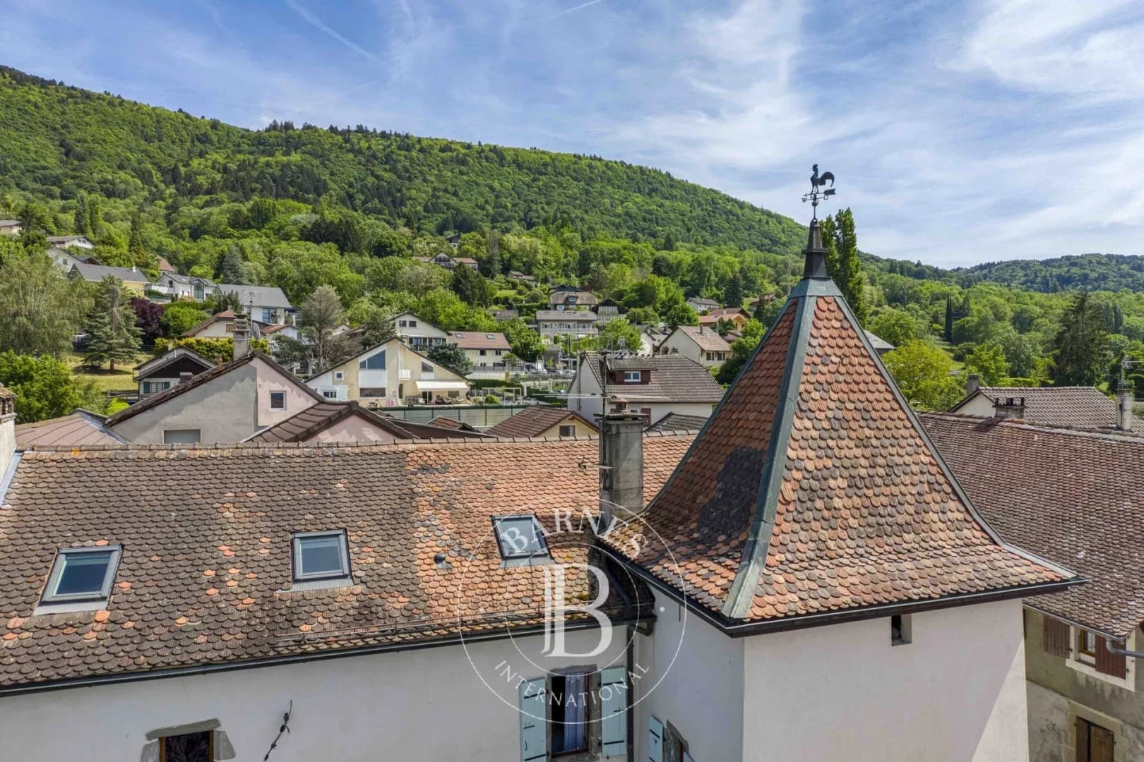 Historic Castle With Independent Apartments And Swimming Pool 4