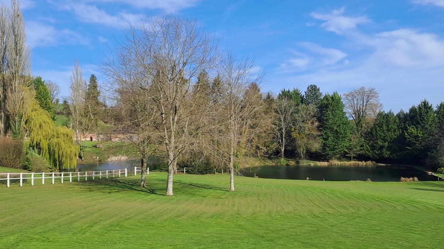 Spacious Castle With 14 Bedrooms And Cellar 2
