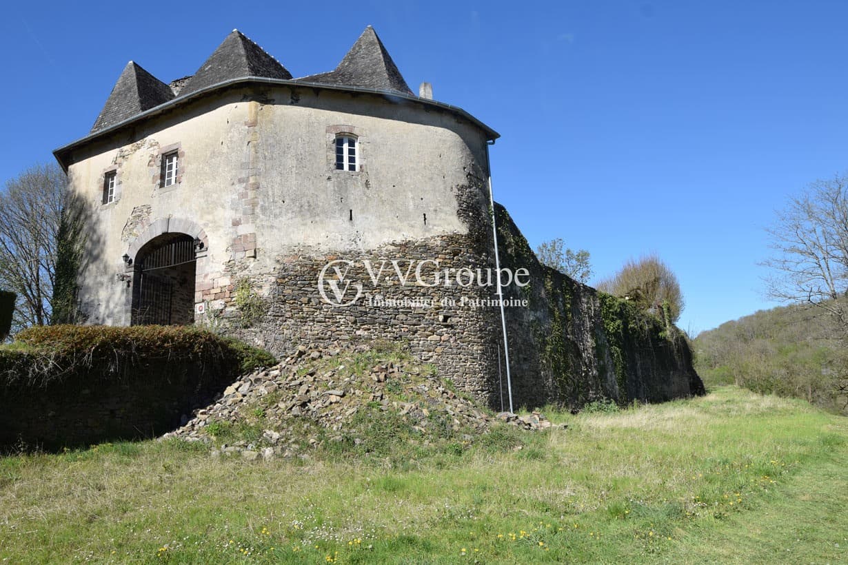 Renovated 13th Century Castle with Terrace in a Quiet Environment 3