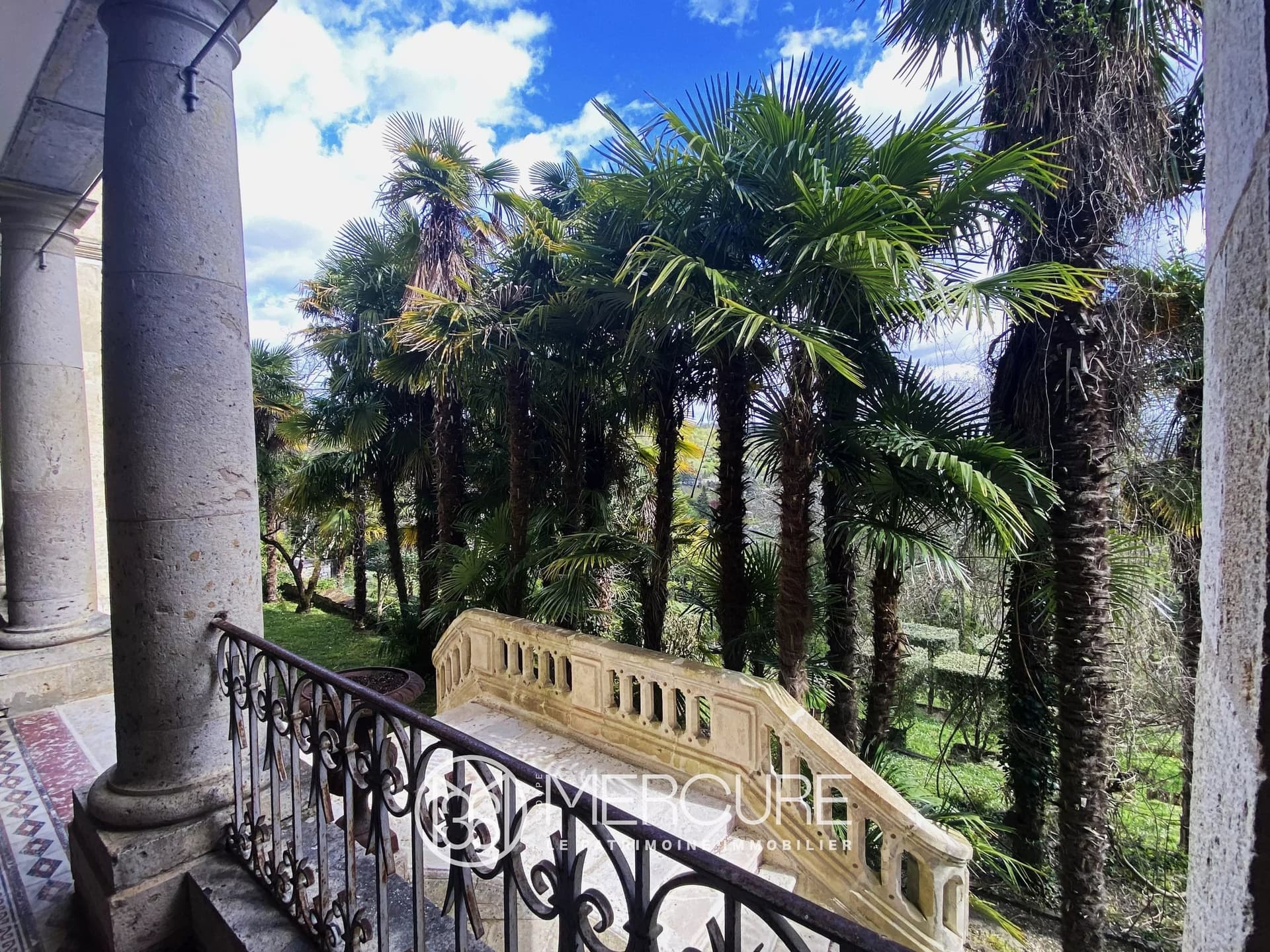19th Century Château with Heated Infinity Pool and Landscaped Park 3