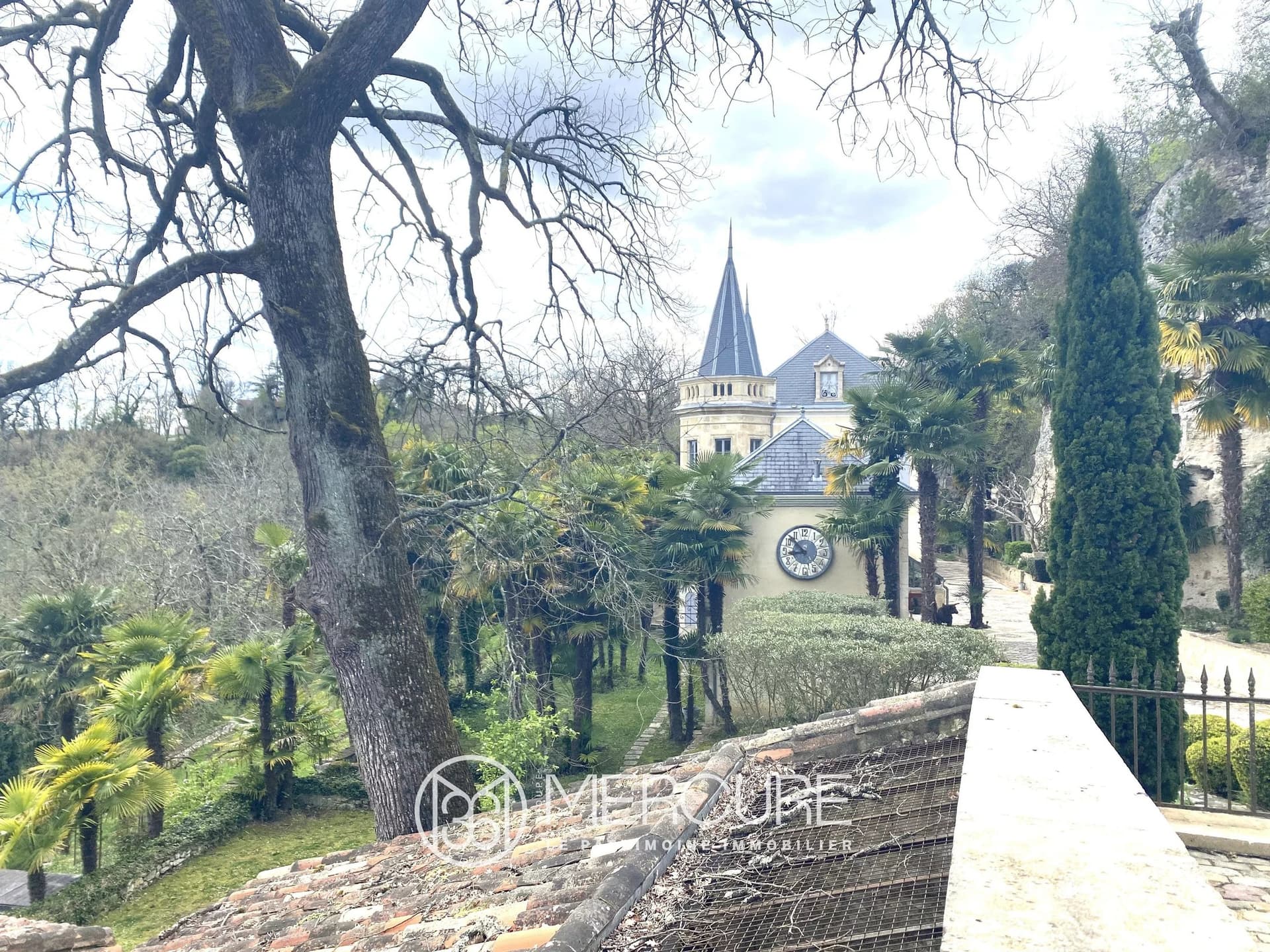 19th Century Château with Heated Infinity Pool and Landscaped Park 4
