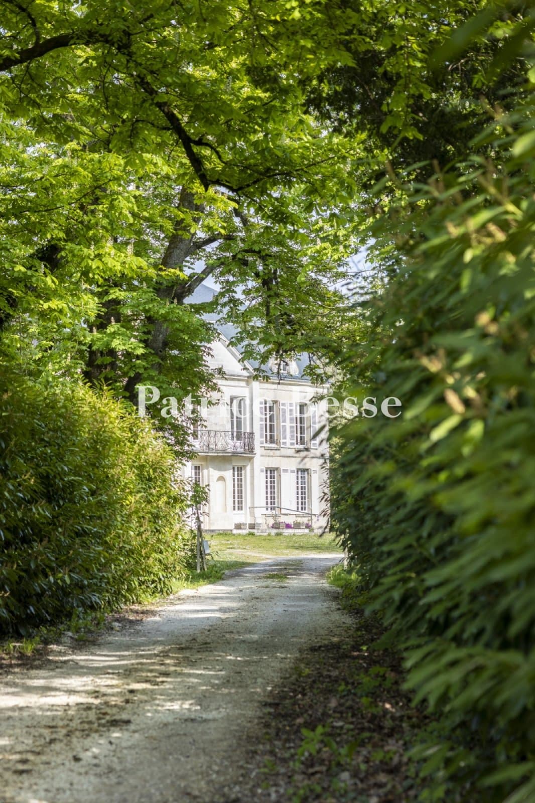 Late 19th Century Château With Park And Moat 2