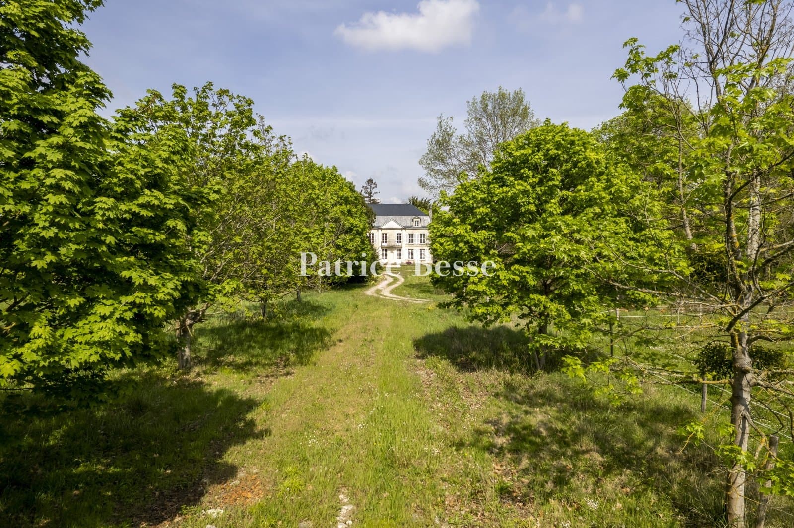 Late 19th Century Château With Park And Moat 3