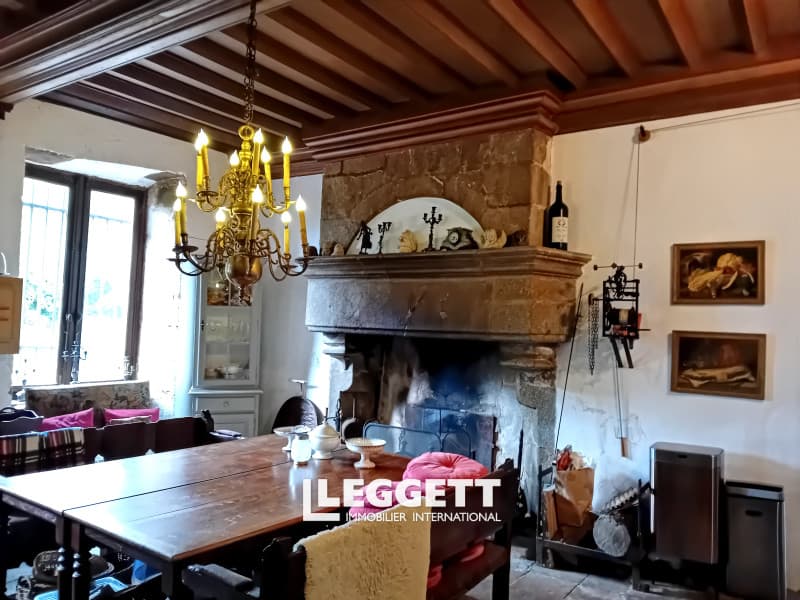 Historic Moated Castle With Airstrips And Holiday Cottage 4