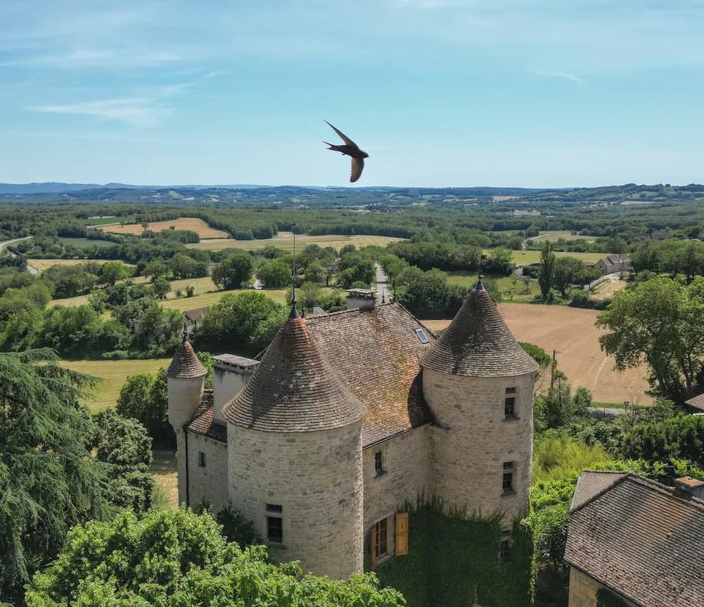 Historic Château Built in 1501 with Panoramic Views and Amenities 4