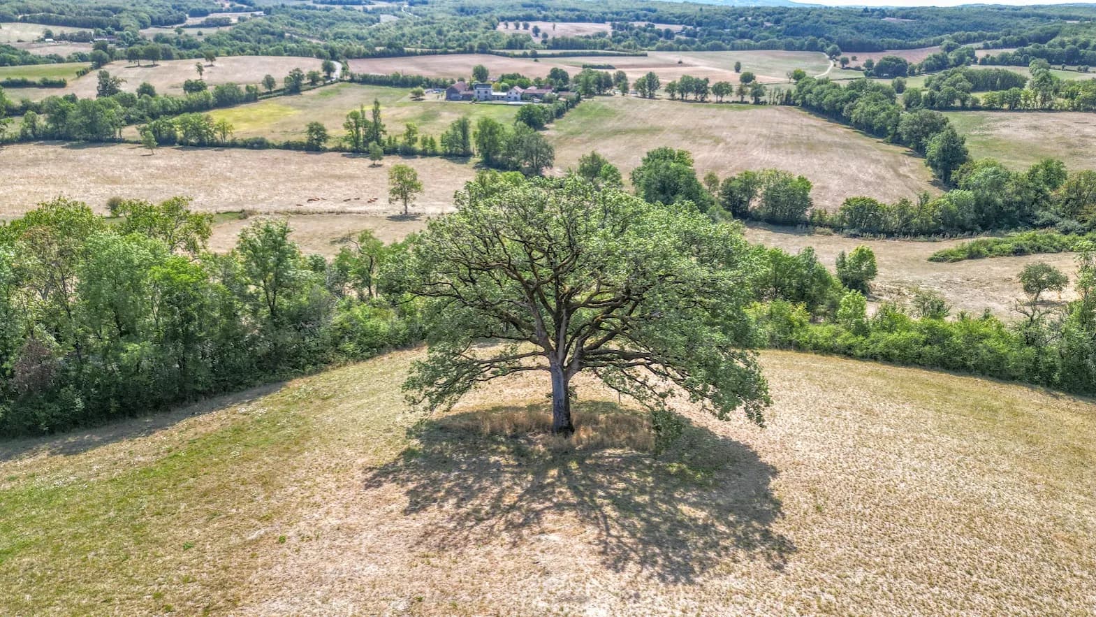 Historic Château Built in 1501 with Panoramic Views and Amenities 5