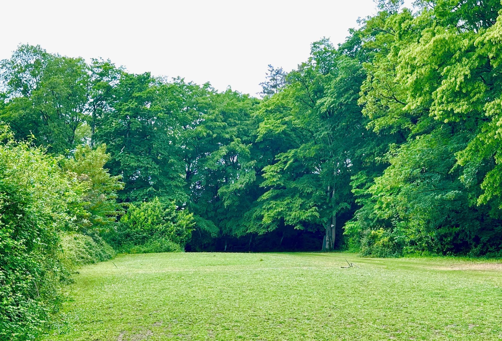 Charming Castle With 6 Bedrooms And 2.5 Hectares Park 2