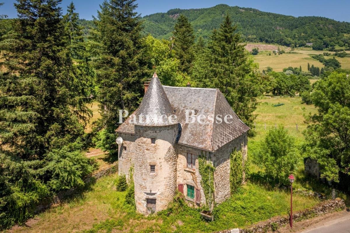 19th Century Palladian Château With Annexes, Wooded Grounds And Swimming Pool 3