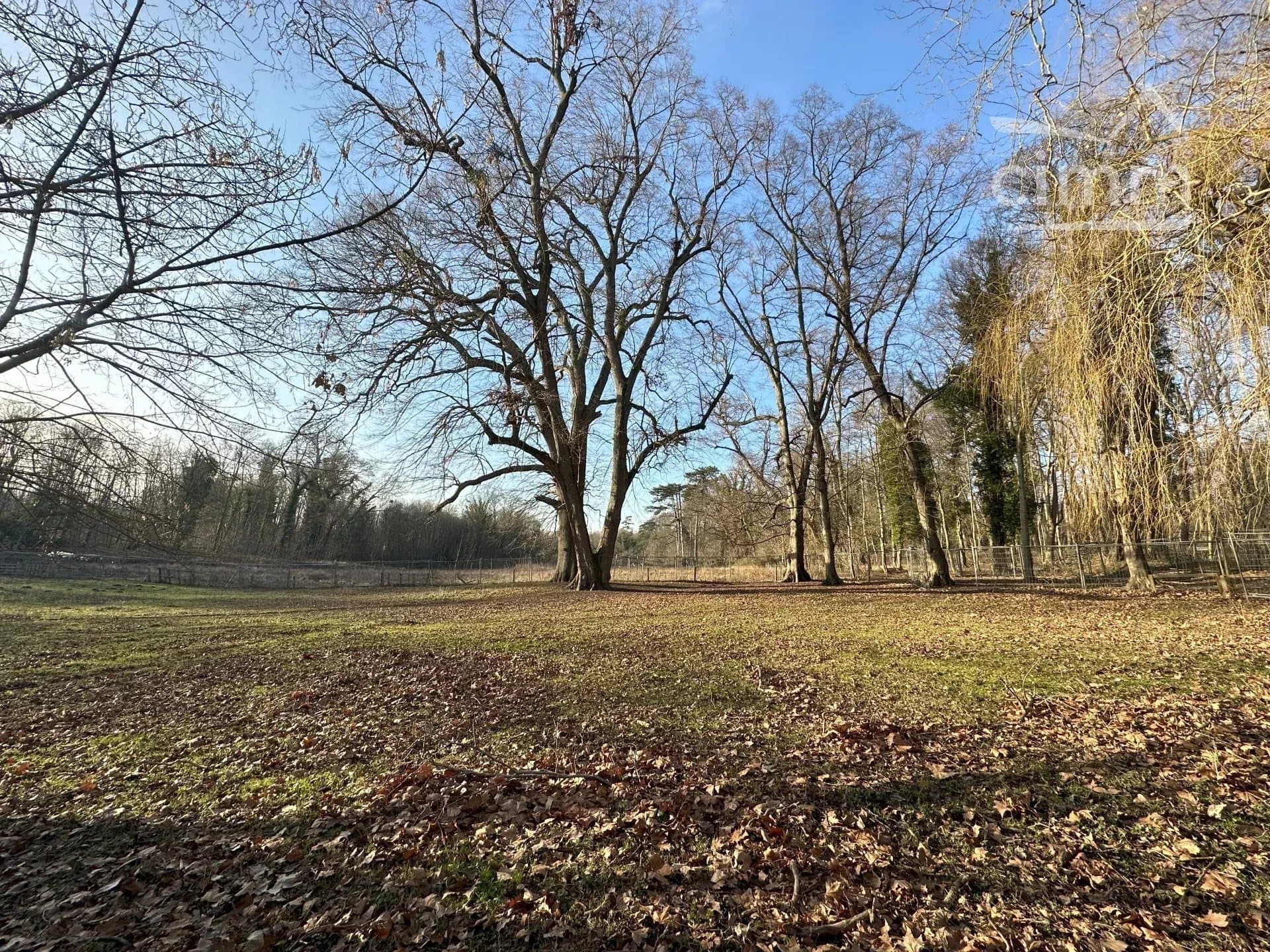 Restoration Opportunity at Gouvernes Castle on 14 Hectares — in France