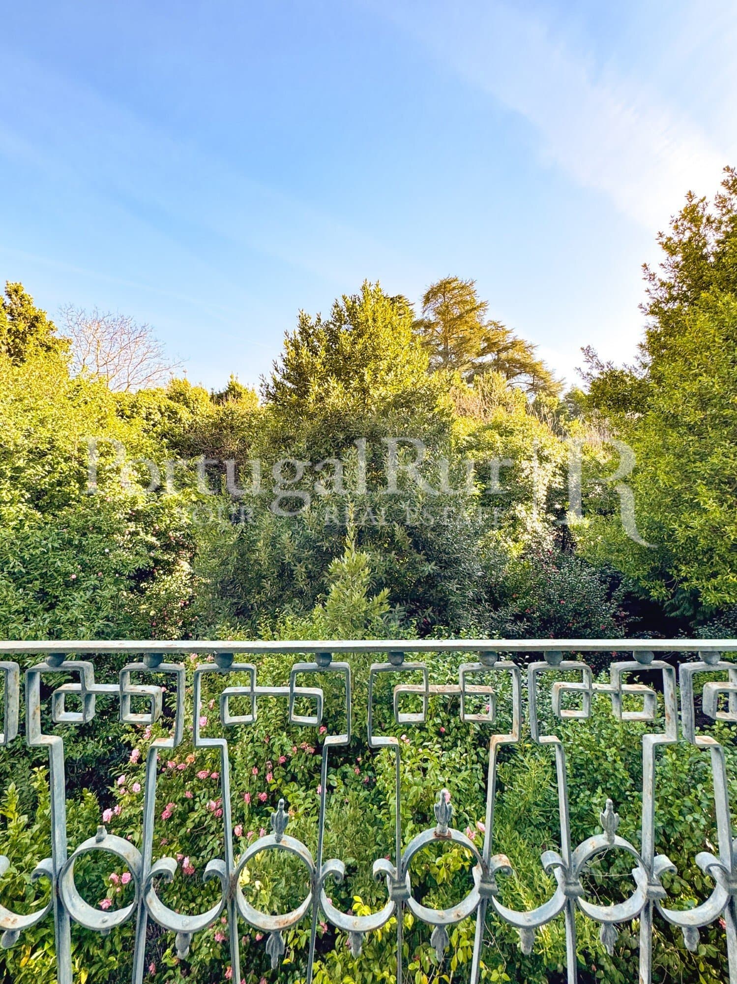 Historic Manor House With 15 Bedrooms And Expansive Gardens 3