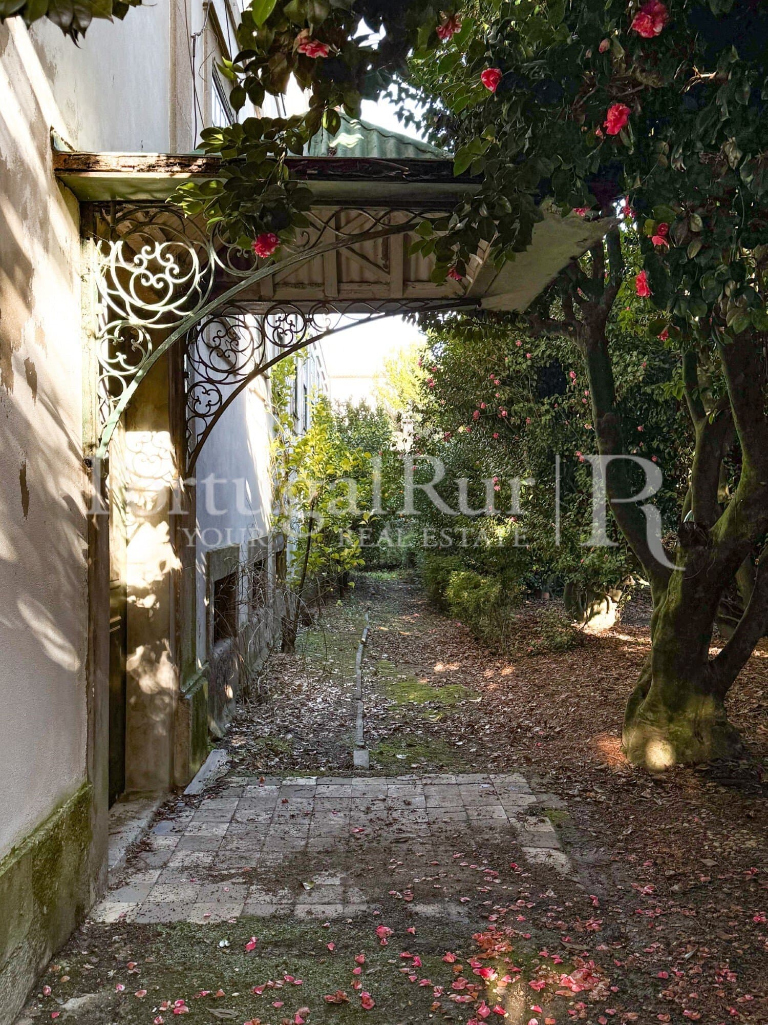 Historic Manor House With 15 Bedrooms And Expansive Gardens 4