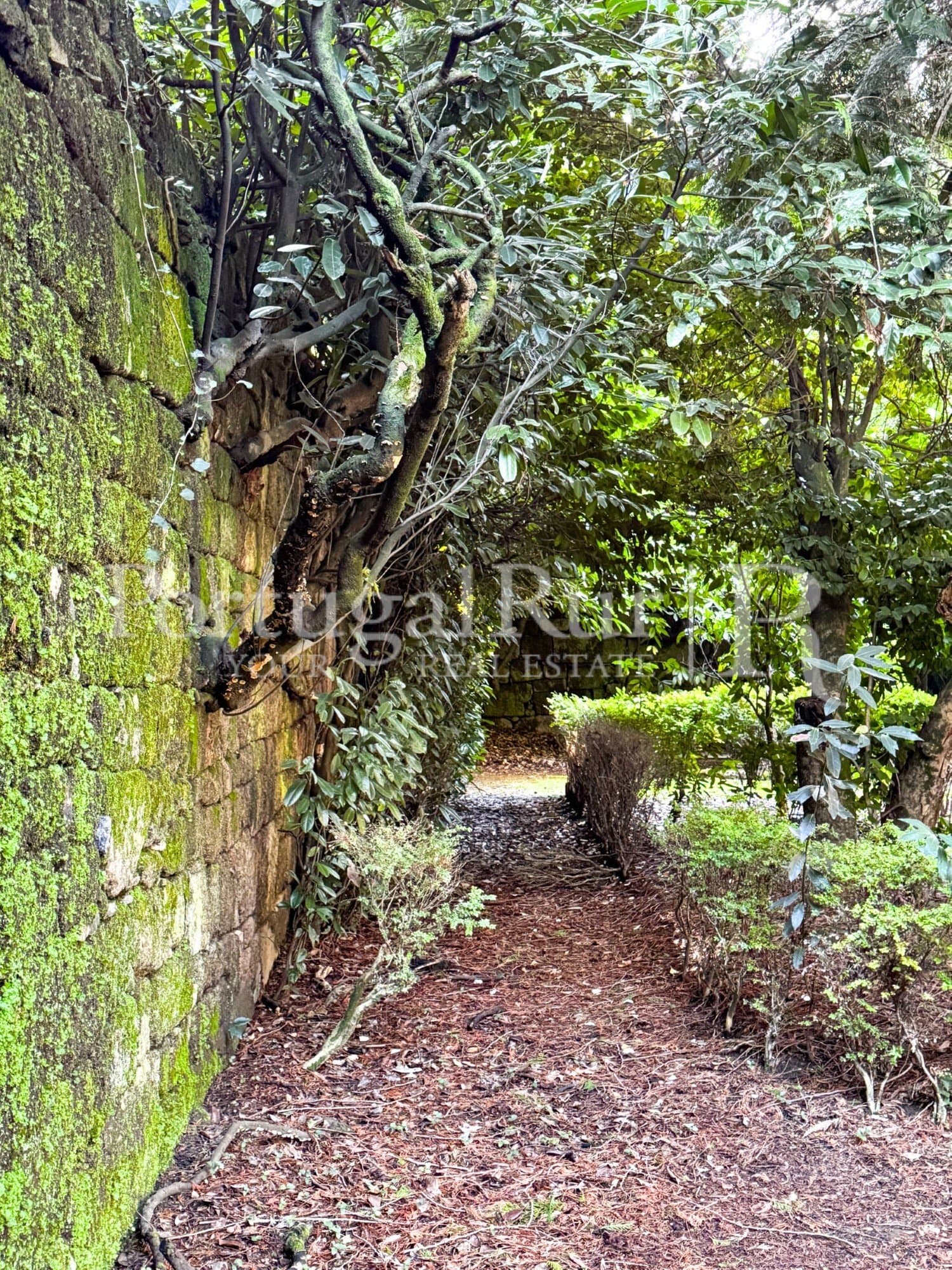 Historic Manor House With 15 Bedrooms And Expansive Gardens 5