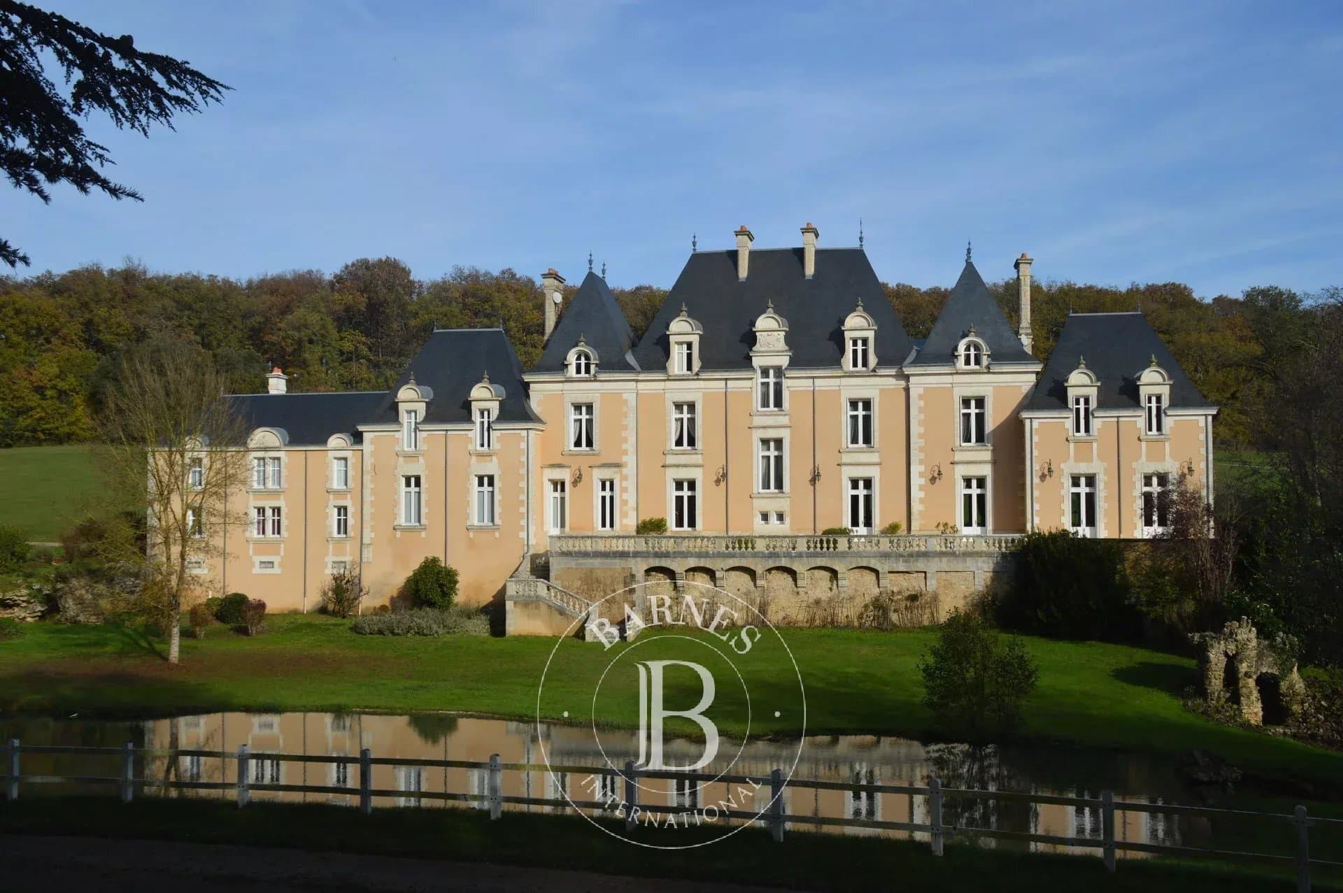 Luxurious 19th Century Château With 600 Sqm Living Space And 75 Hectares — Château for sale in Poitou, France