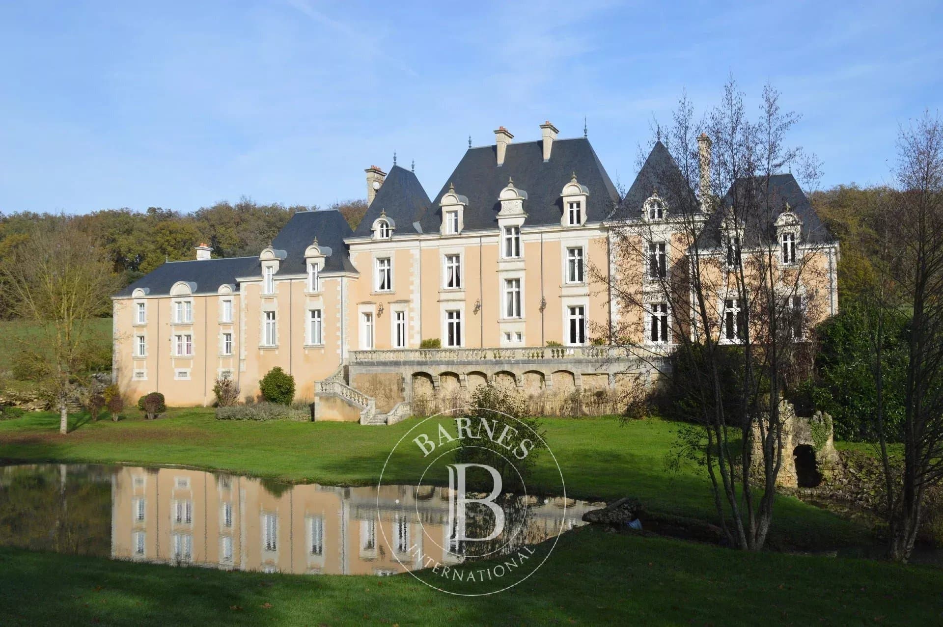 Luxurious 19th Century Château With 600 Sqm Living Space And 75 Hectares 2