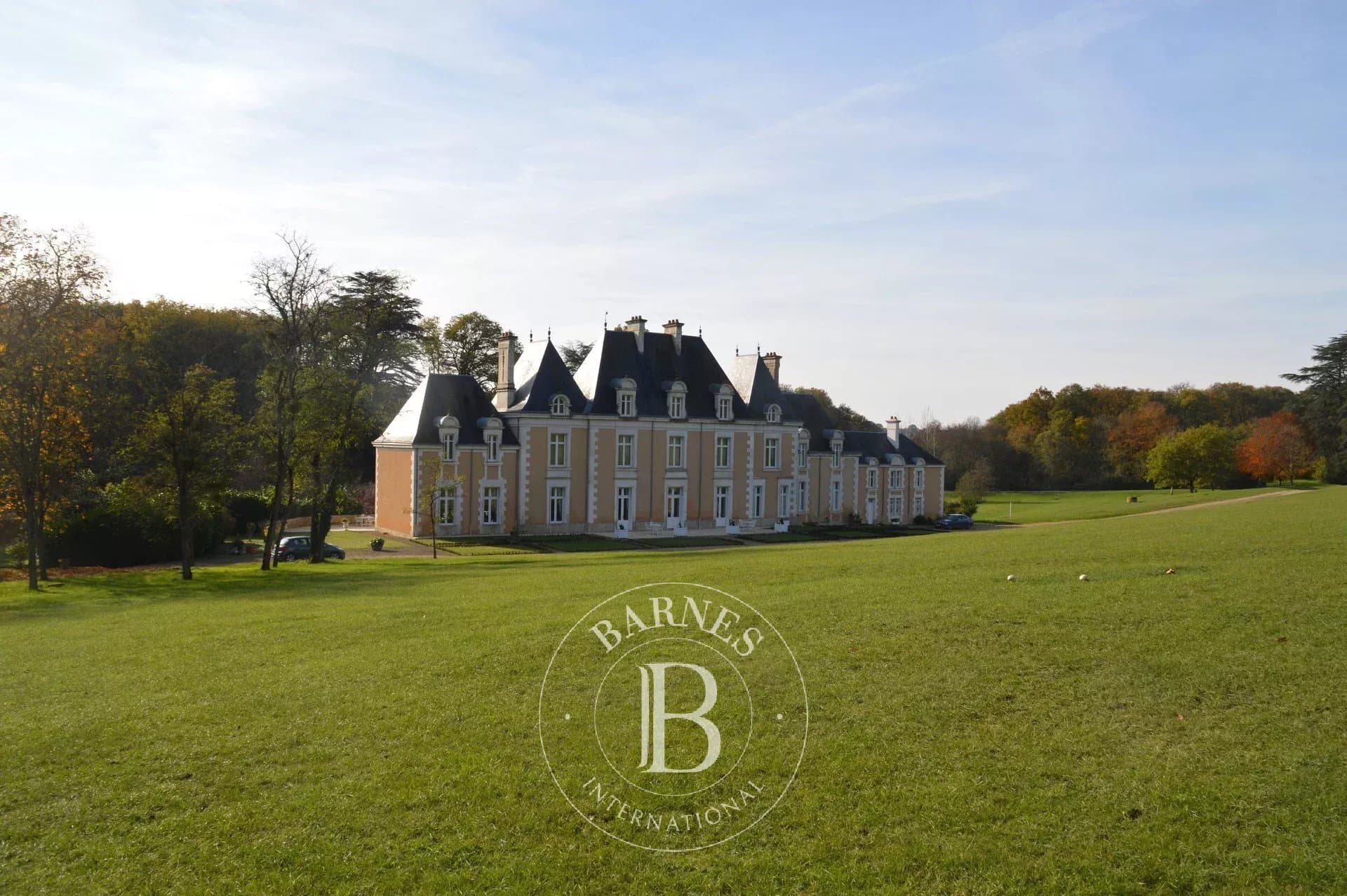 Luxurious 19th Century Château With 600 Sqm Living Space And 75 Hectares 4