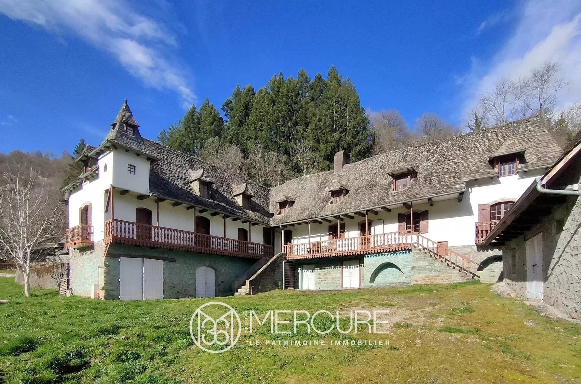 Château With Natural Swimming Pool And Barn In A Peaceful Setting — Château for sale in France