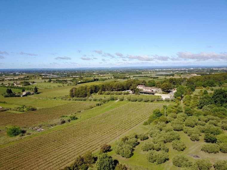 Organic Winery With Panoramic Views And Infinity Pool 2