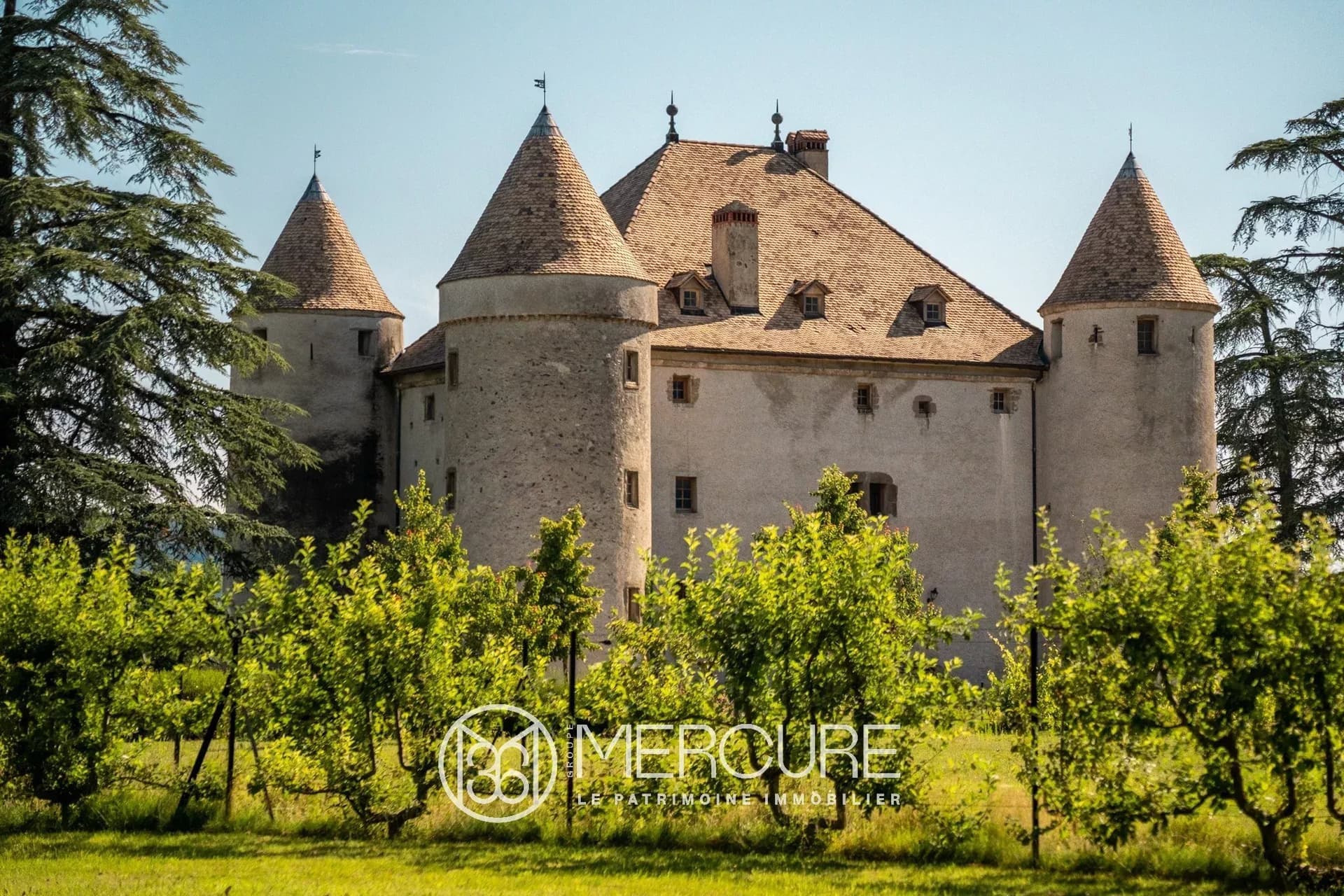 Exceptional 15th Century Château With Renovation Potential 4