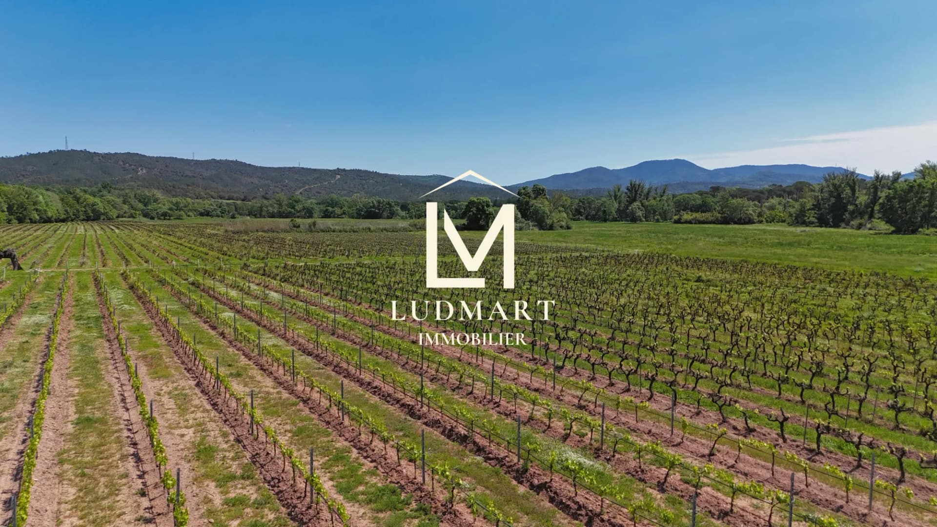 Charming Bastide With Organic Vineyard And Scenic Views 3