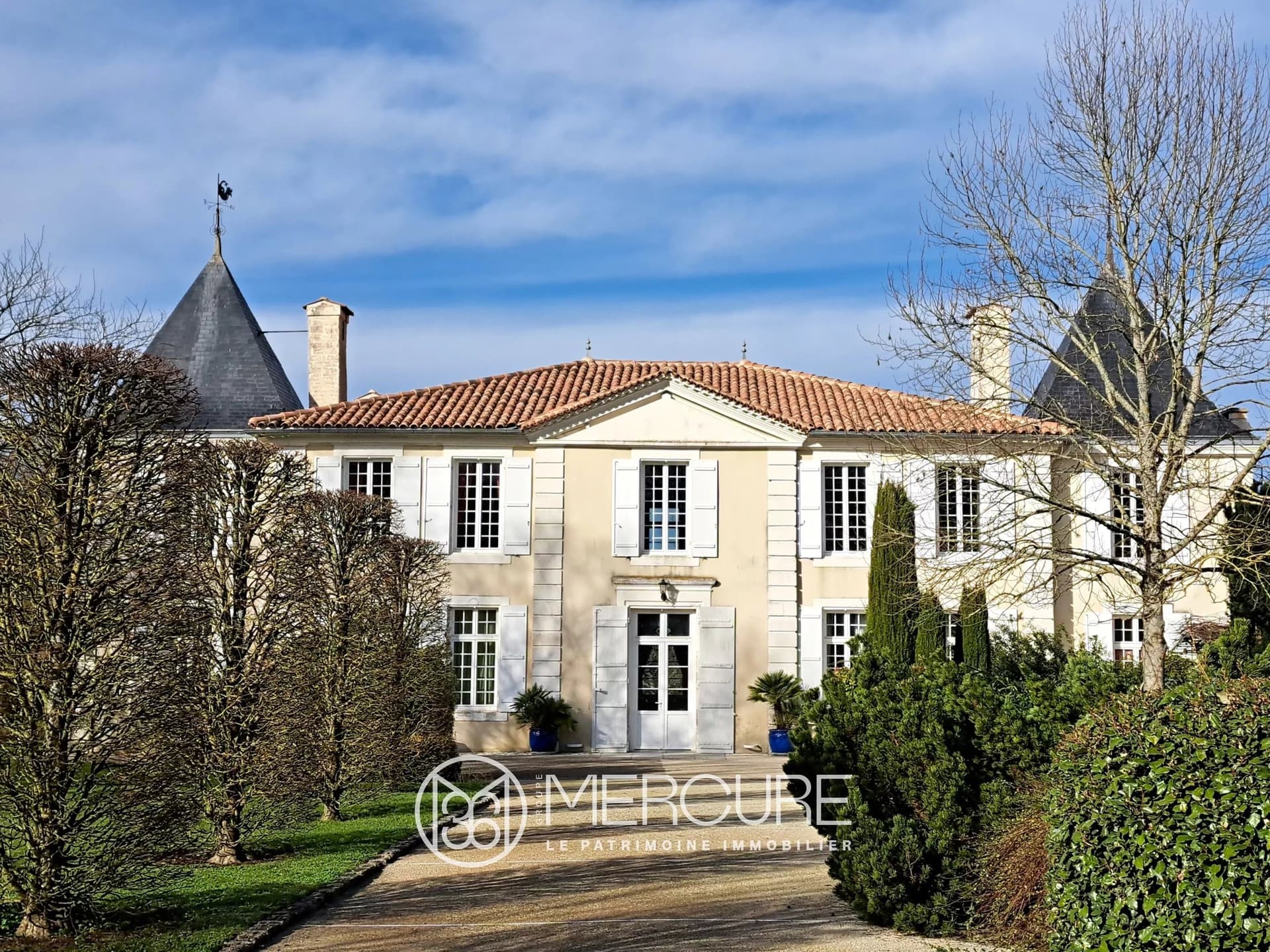 Castles for sale in Saintonge