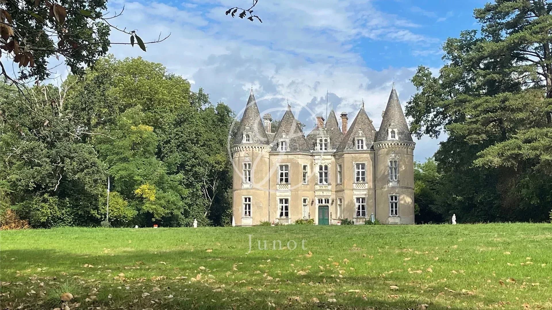 Exceptional 19th Century Château With Ballroom And Picturesque Pond 5