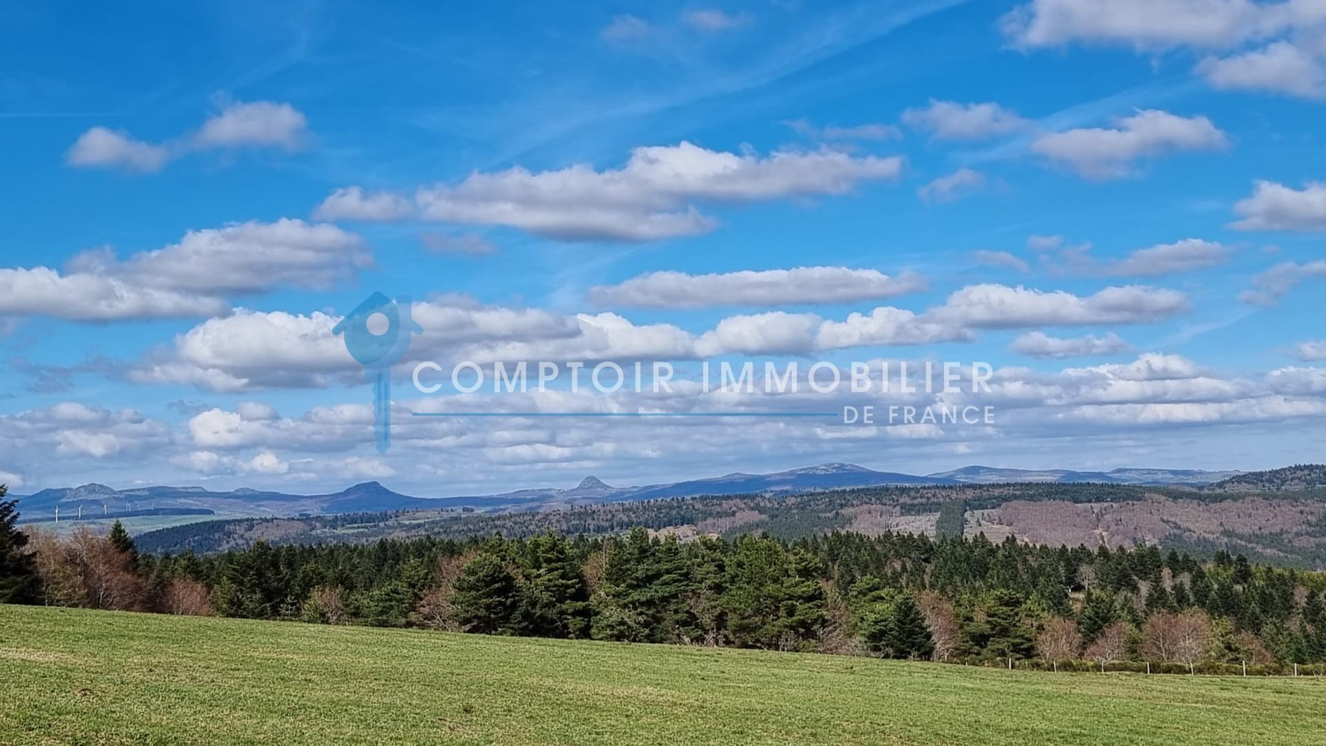 Renovated Farmhouse with Riding Arena in 50 Hectare Paradise — in France