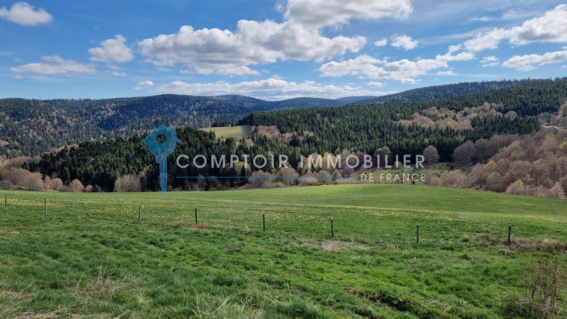Renovated Farmhouse with Riding Arena in 50 Hectare Paradise 2