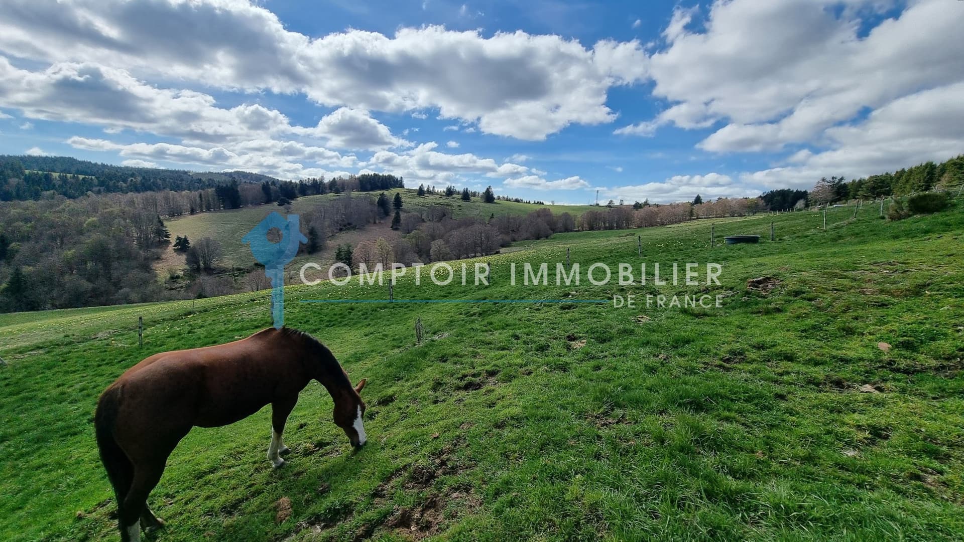 Renovated Farmhouse with Riding Arena in 50 Hectare Paradise 3