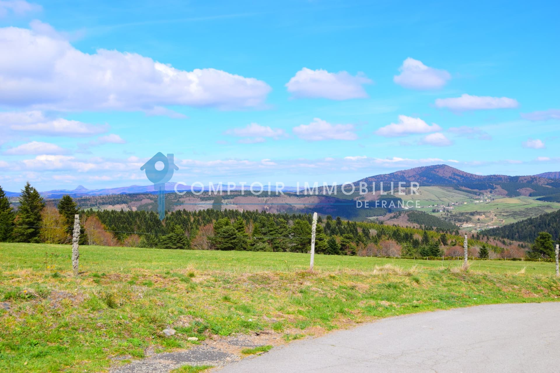 Renovated Farmhouse with Riding Arena in 50 Hectare Paradise 4